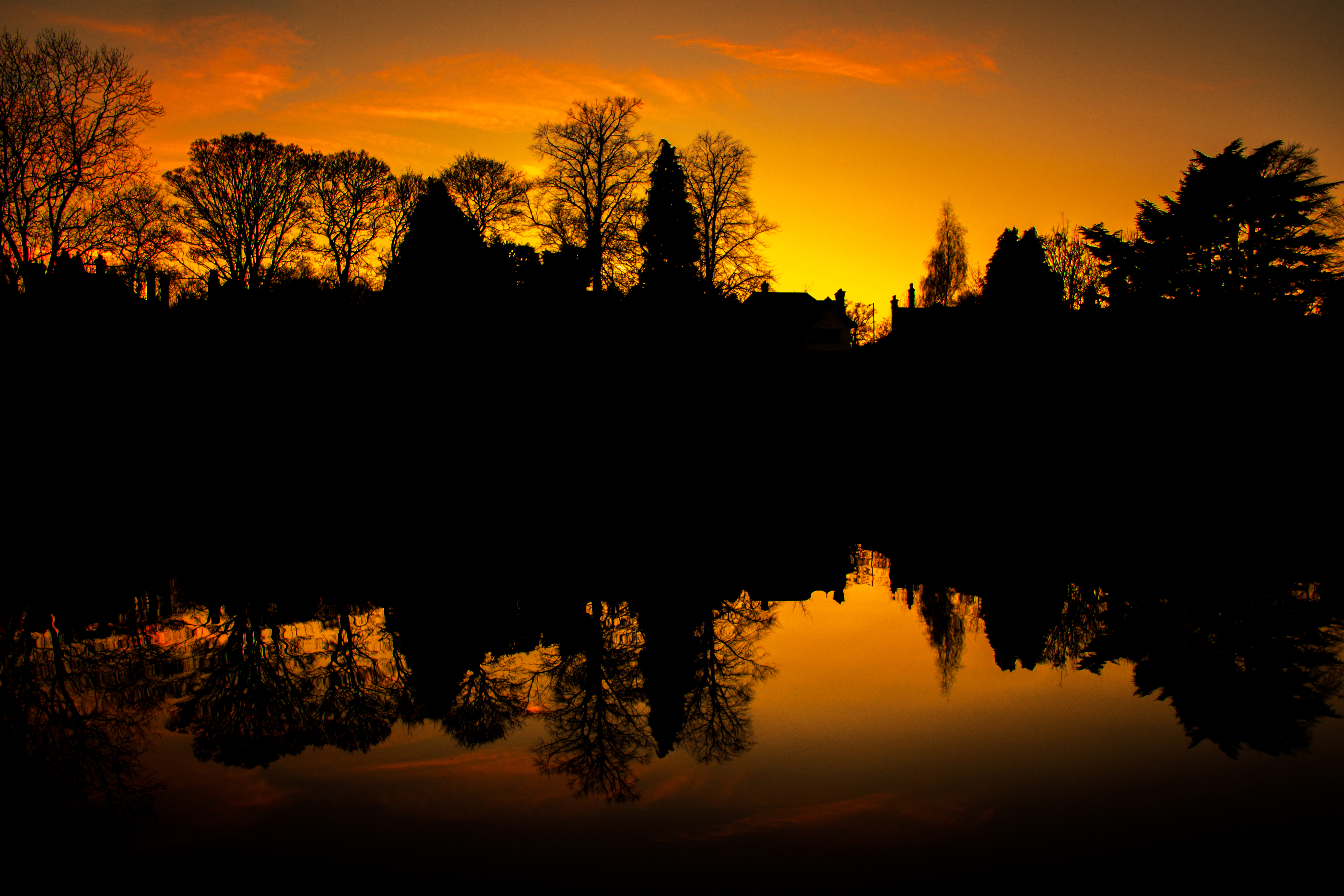 закат деревья силуэт