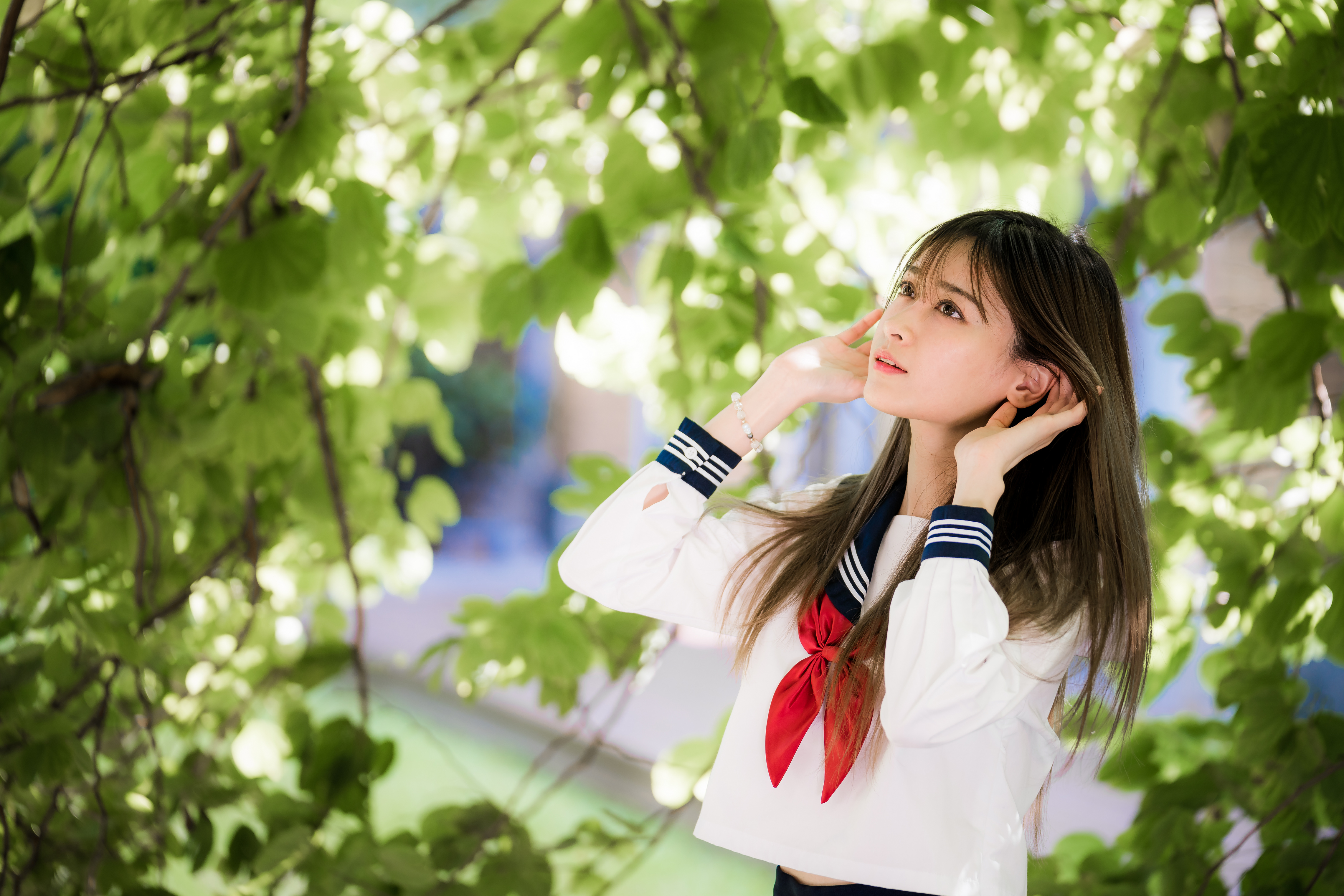 Школьница боке ветвь молодая