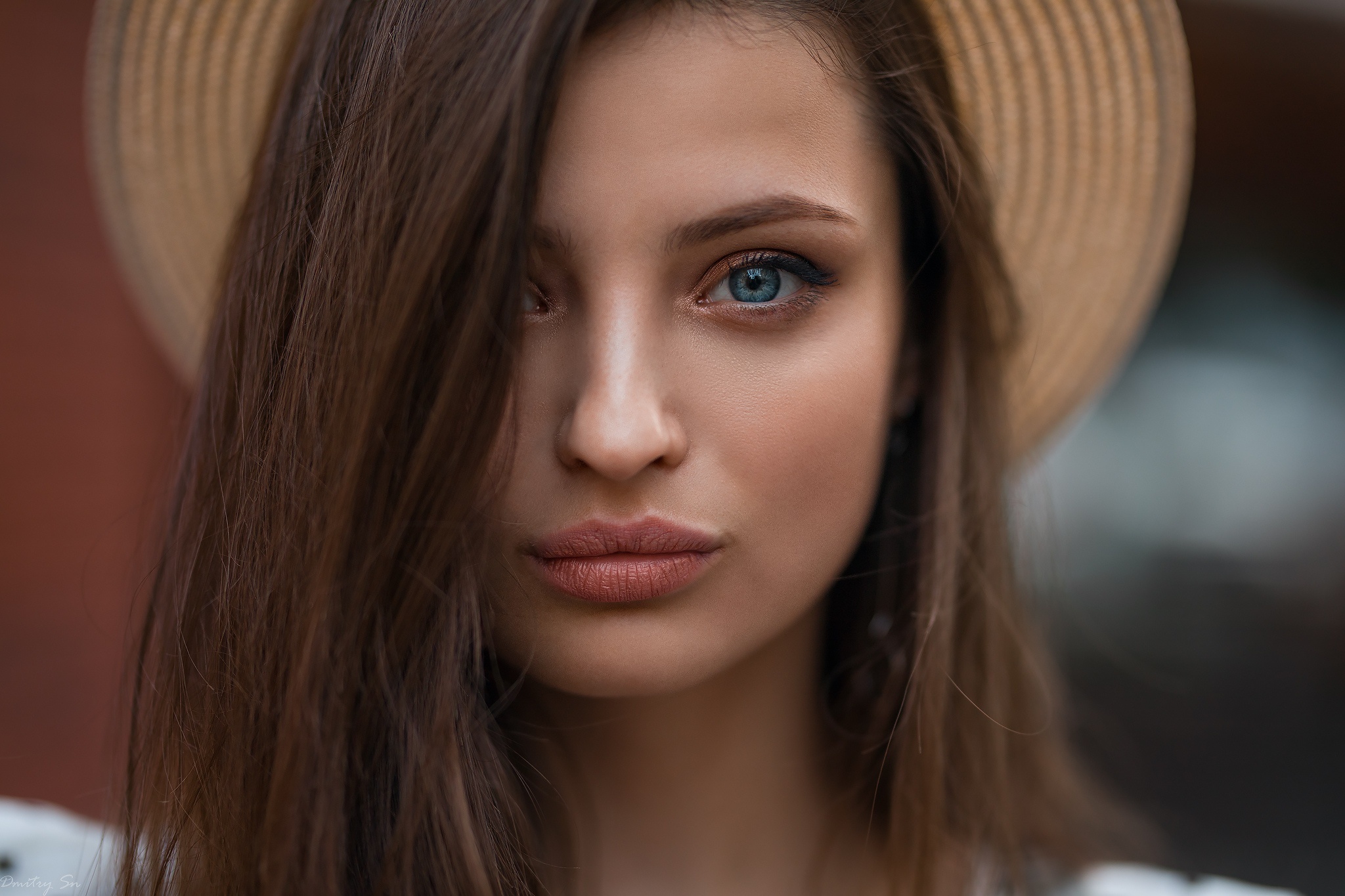 взгляд Дмитрий Шульгин