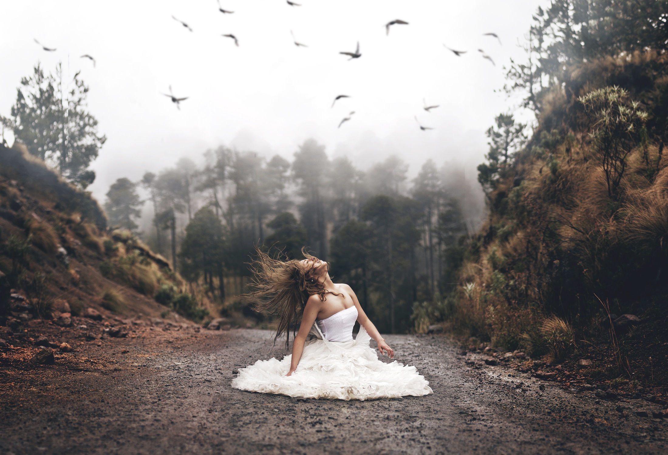 дорога ситуация девушка