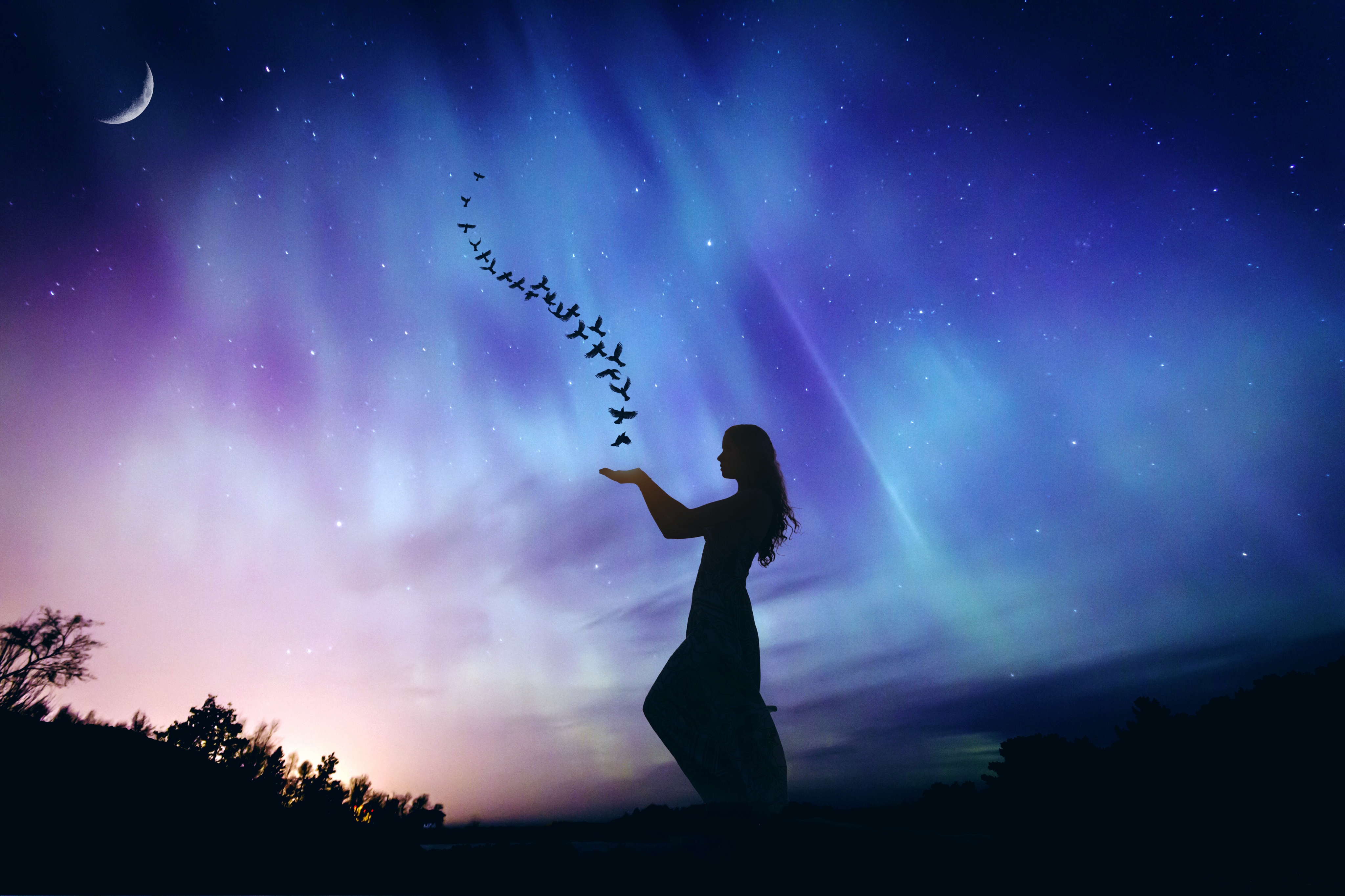 ночь искусство свет