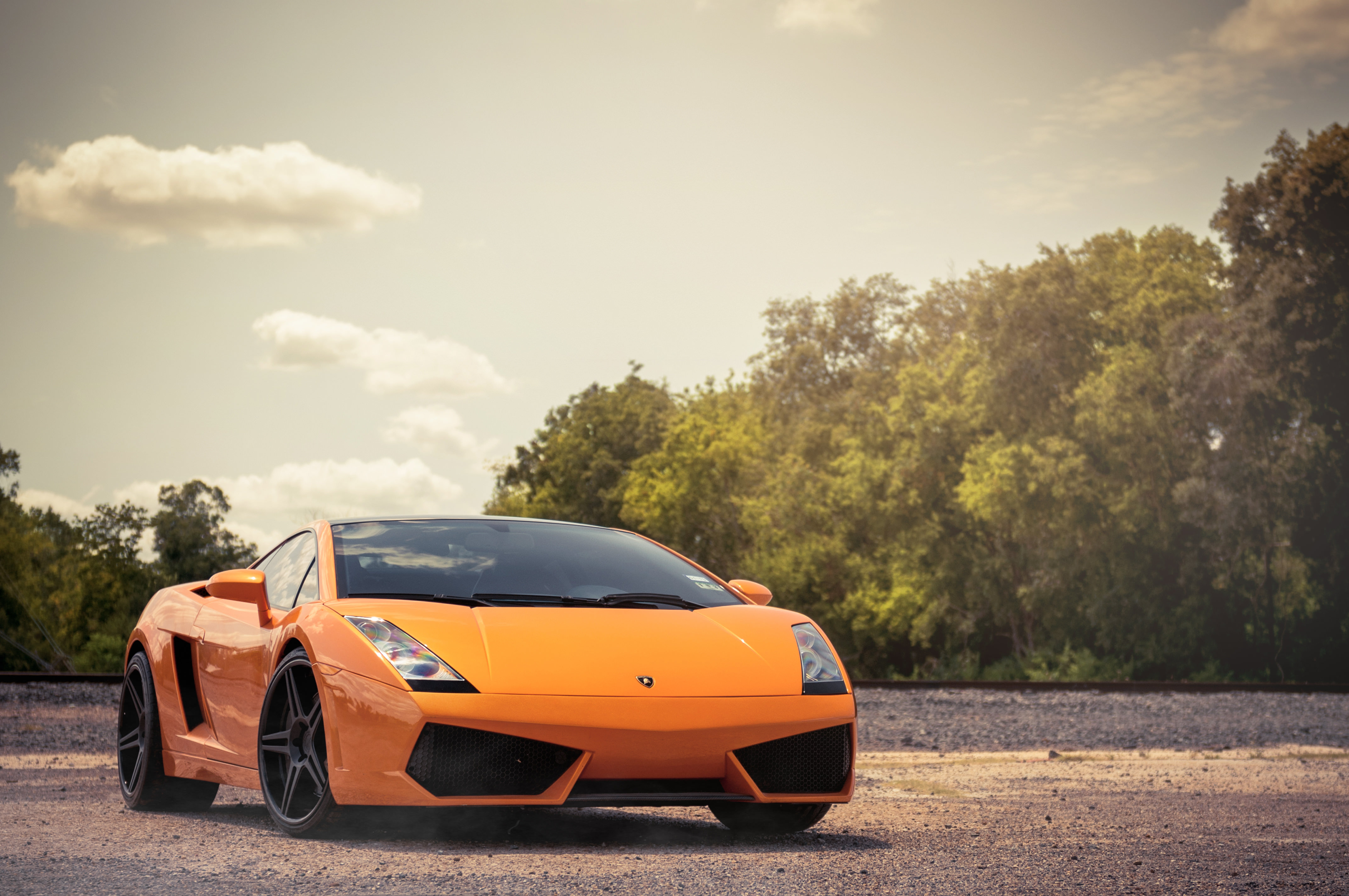 Lamborghini галлардо деревья