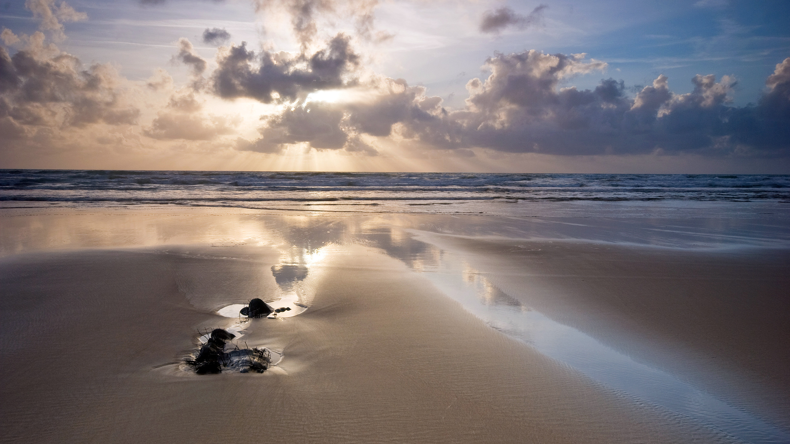 песок берег камни Пейзаж море