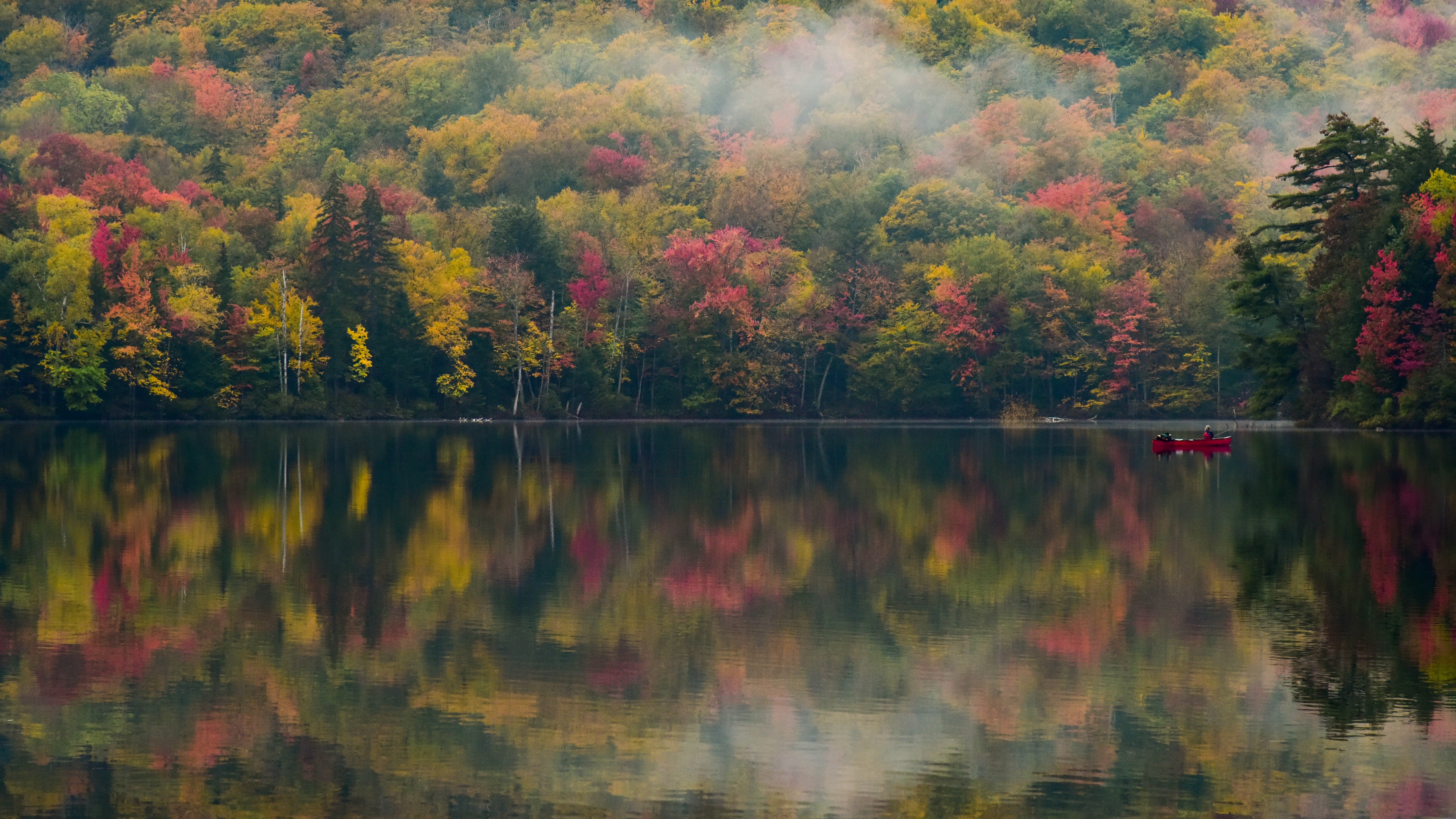 деревья озеро Франкония