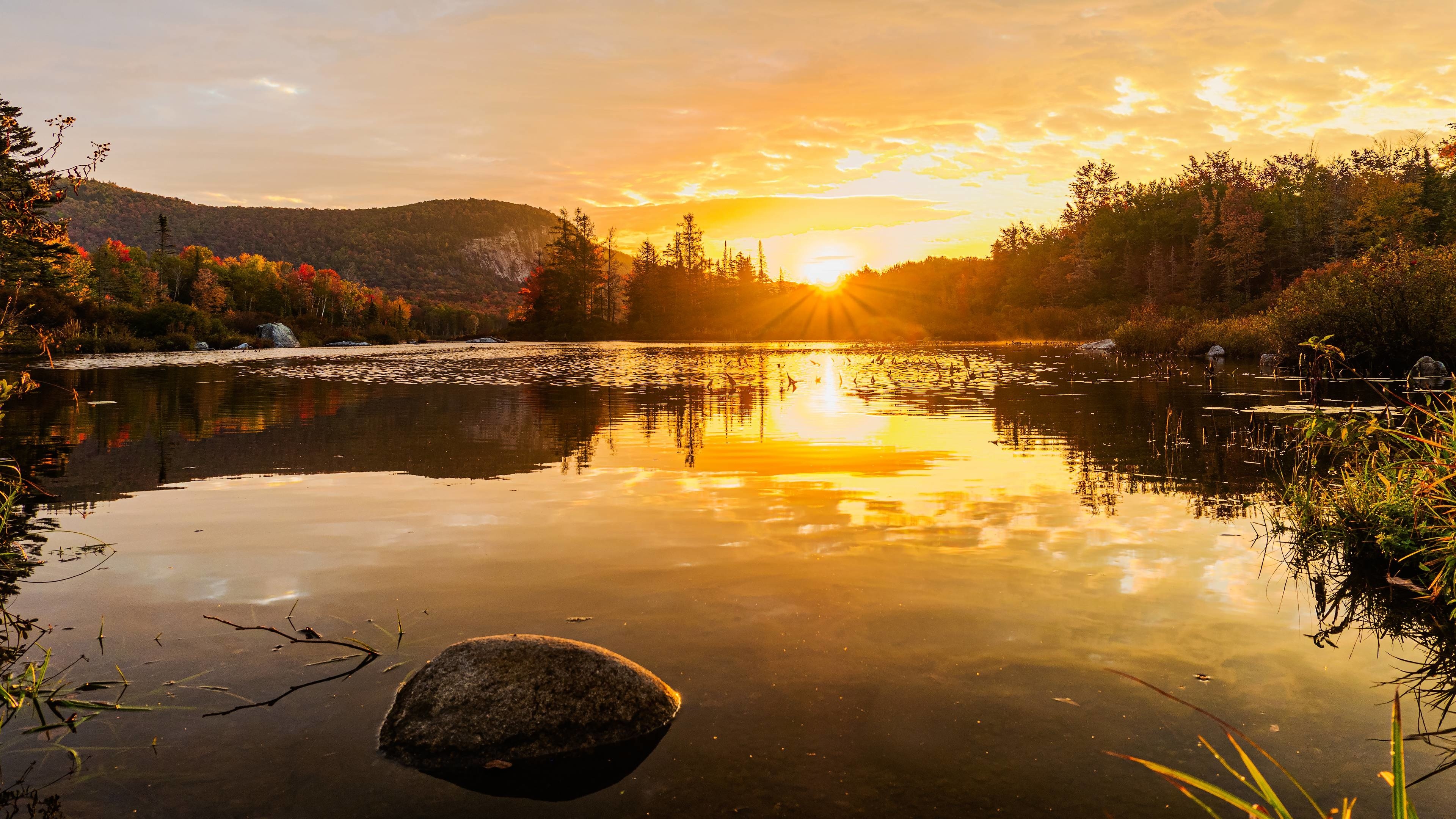 осень озеро лес