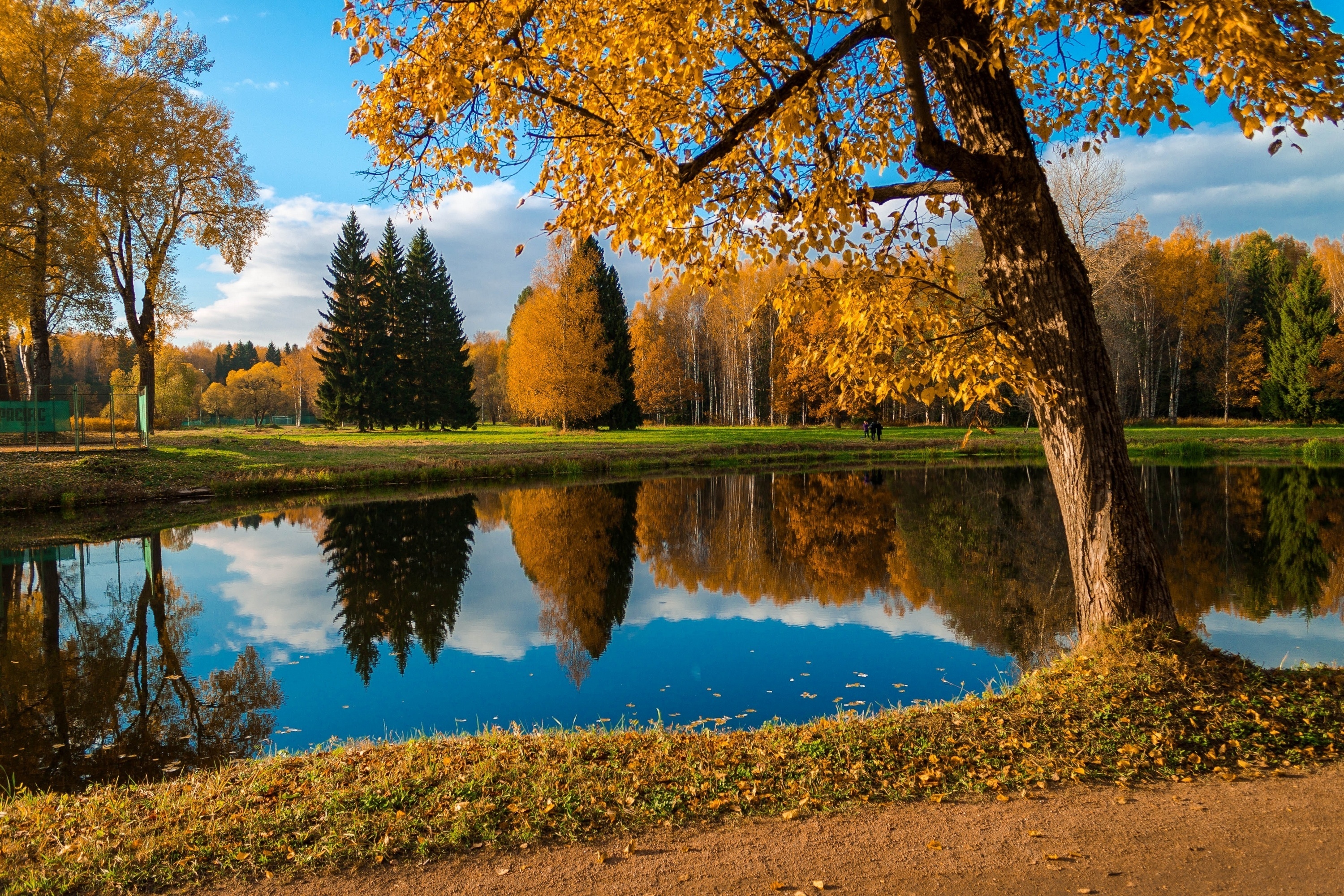 павловск парк отражение пруд