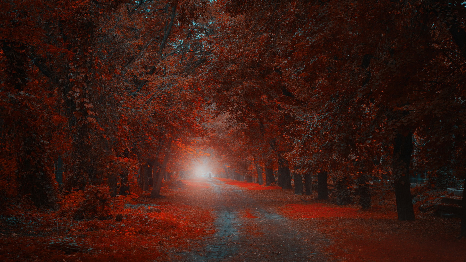 природа парк осень