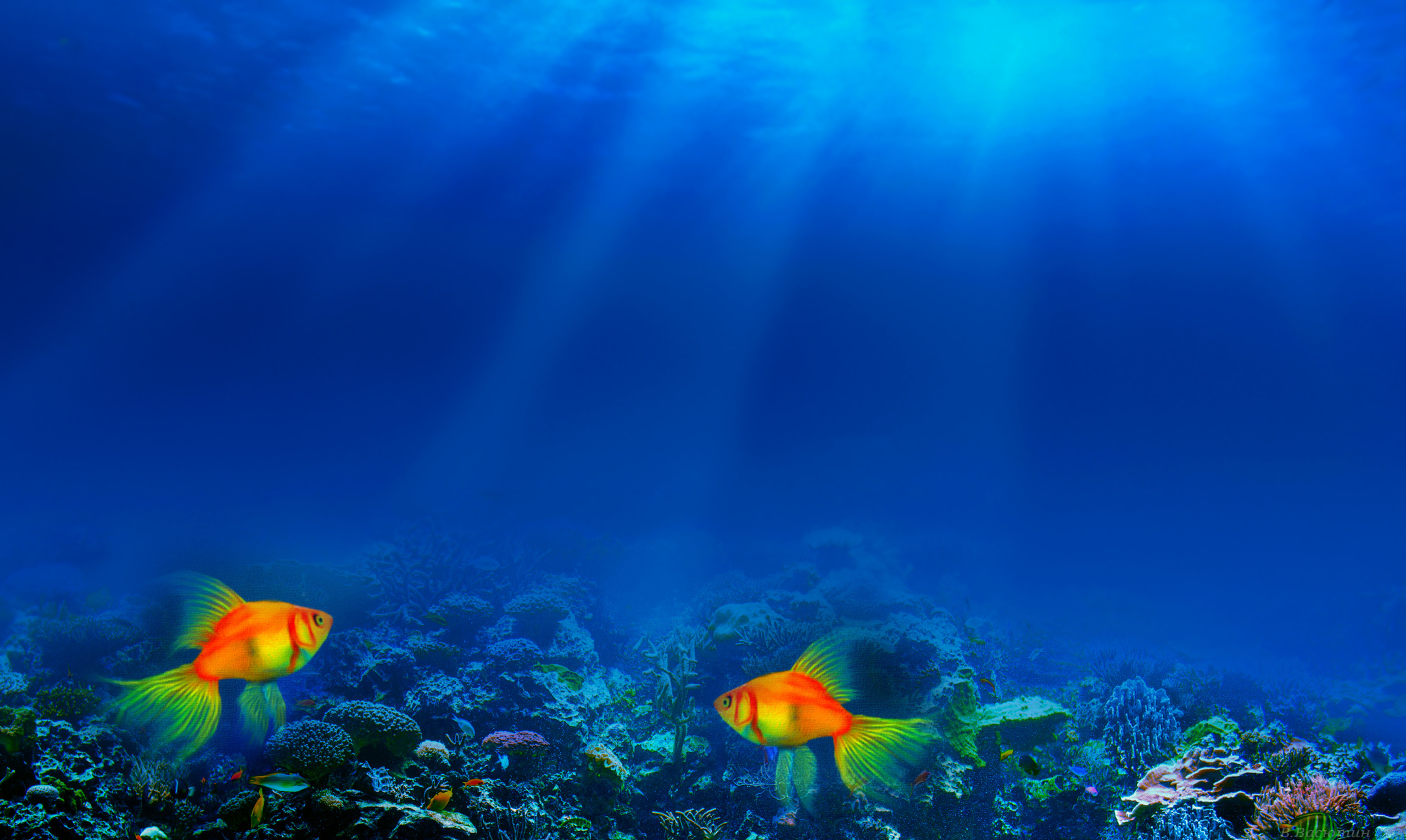 океан небо мир подводный