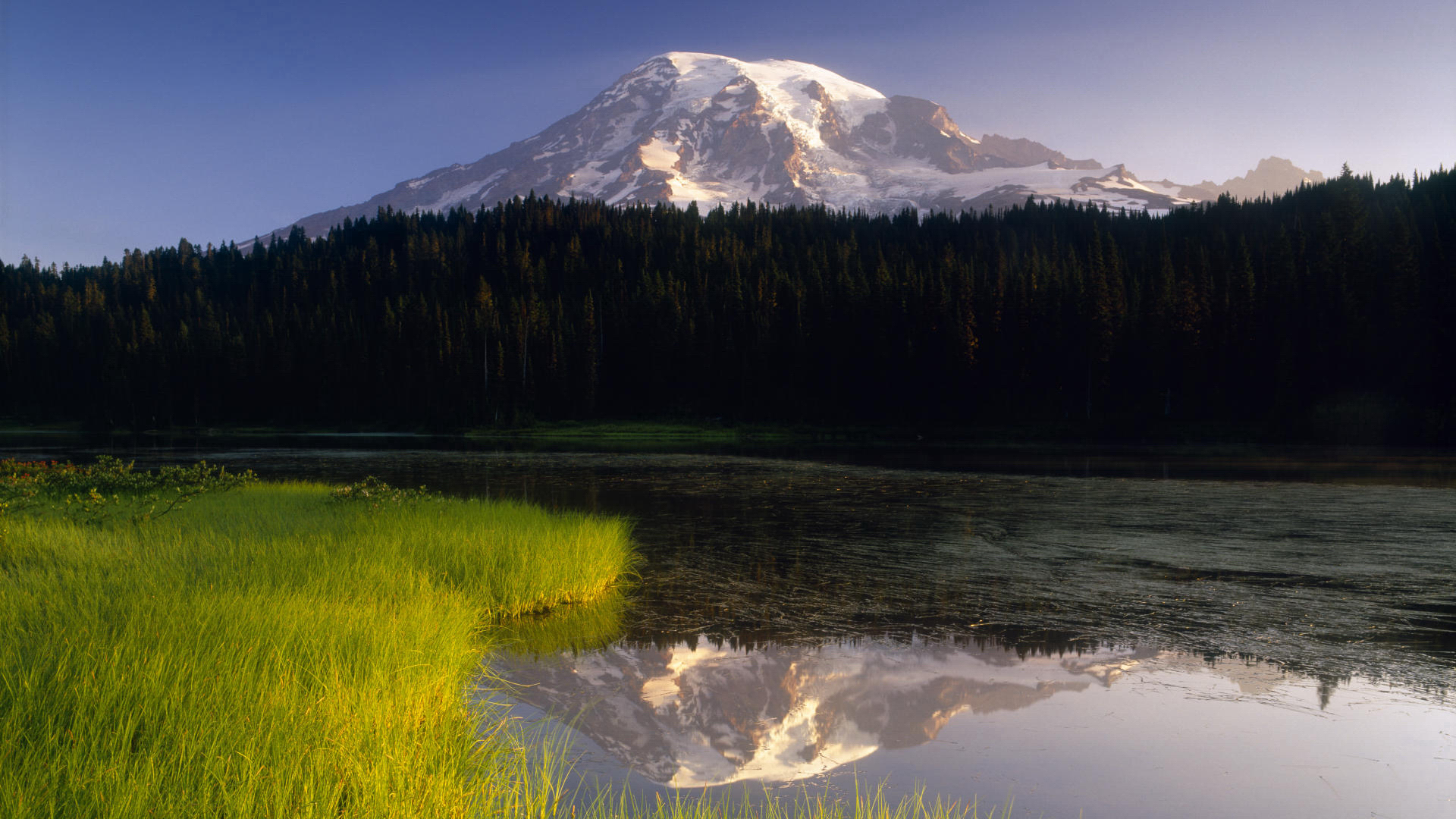 мечты сбылись