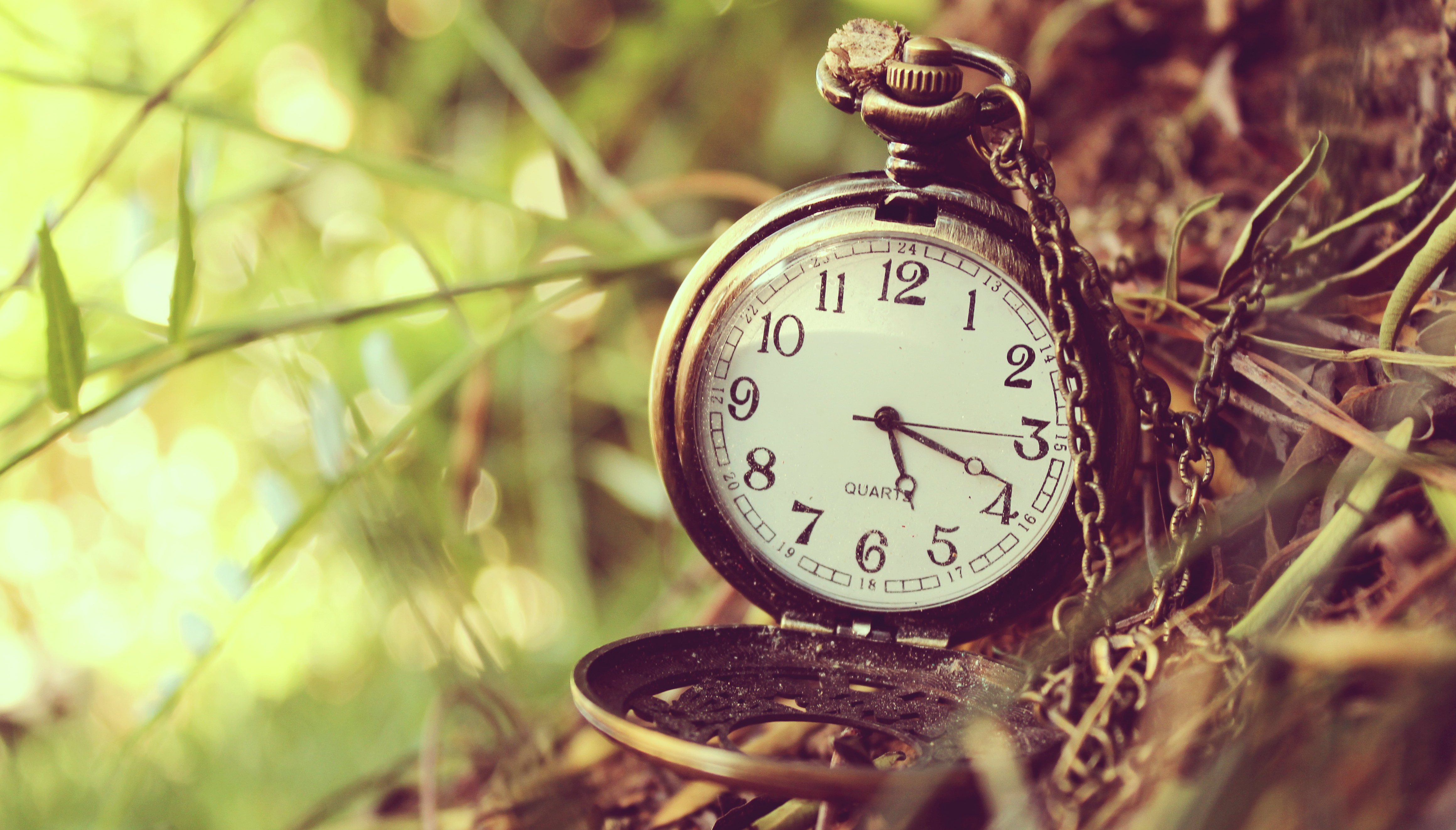 часы цифры трава стрелки