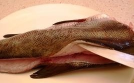 kotlety iz ryby ryba