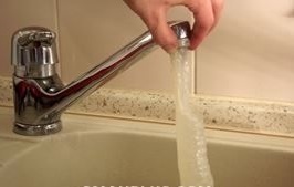 domashnyaya kolbasa kishka