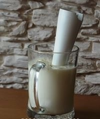 salat iz plavlennogo syra mayonez